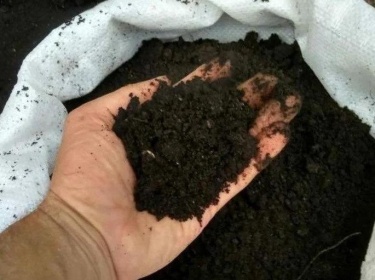 навоз конский