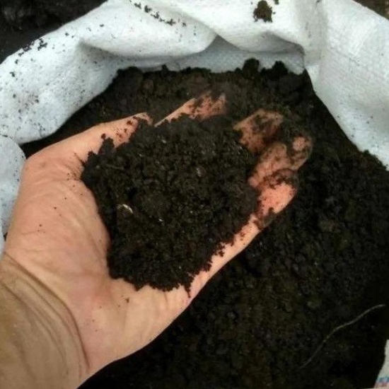 земля плодородная